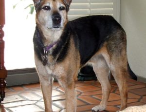 Patti Standing